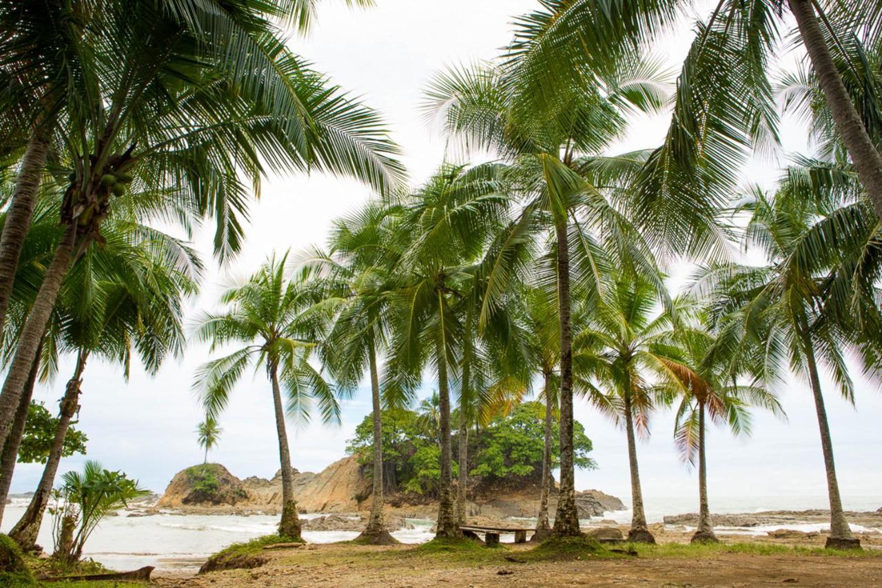 Pacific Edge Eco Lodge Dominical Buitenkant foto