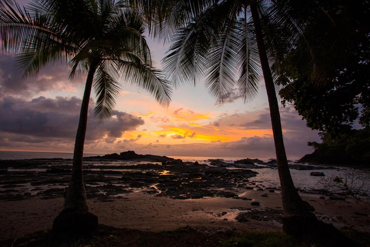 Pacific Edge Eco Lodge Dominical Buitenkant foto