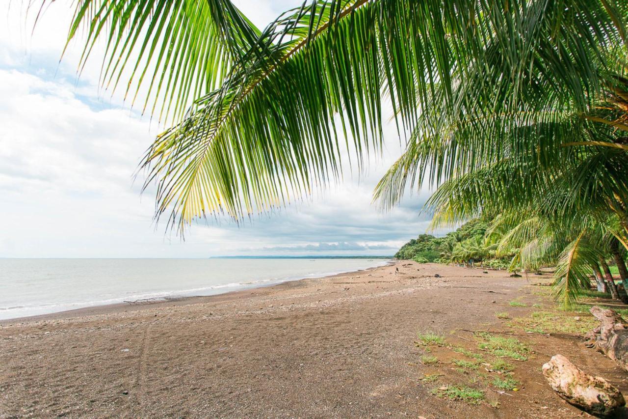 Pacific Edge Eco Lodge Dominical Buitenkant foto