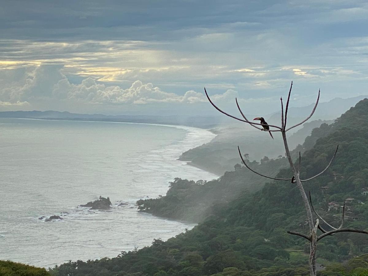 Pacific Edge Eco Lodge Dominical Buitenkant foto
