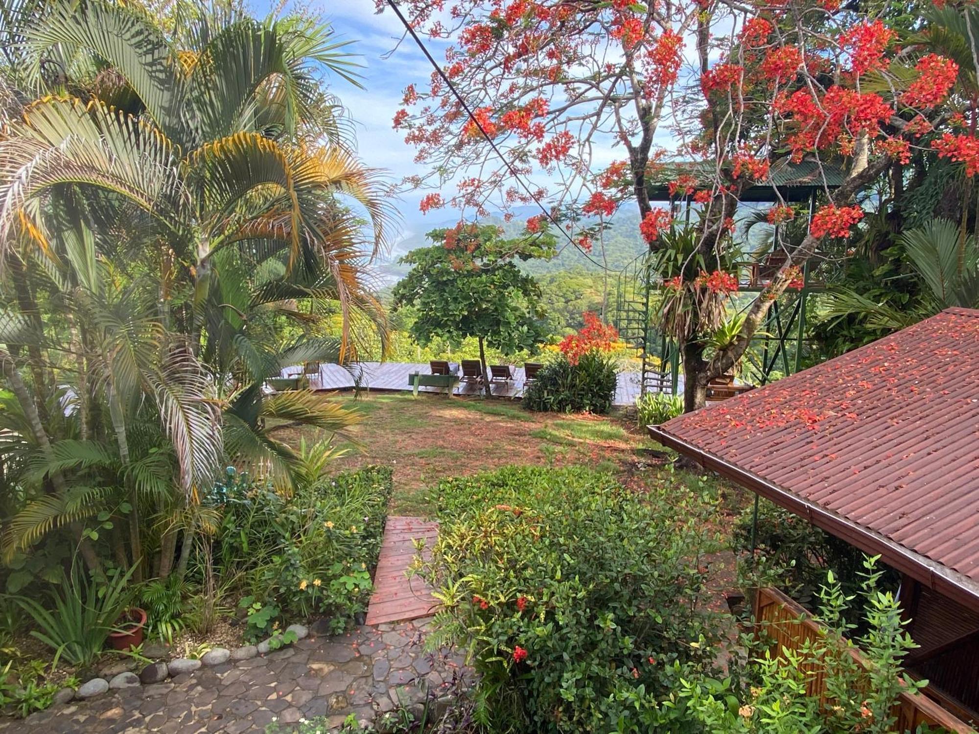 Pacific Edge Eco Lodge Dominical Buitenkant foto